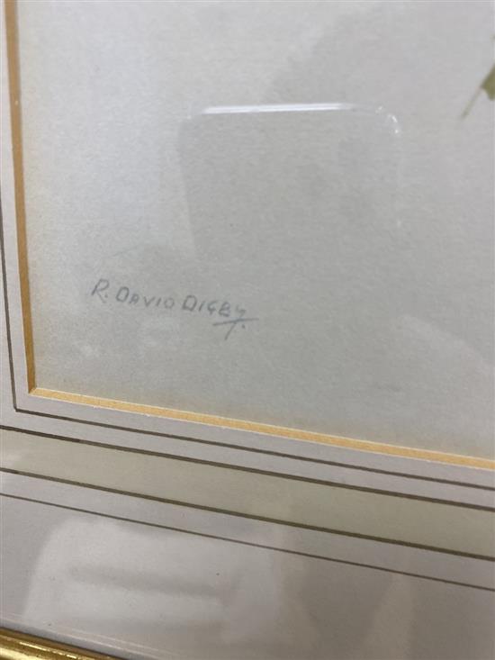 Ron David Digby (b.1936), gouache on paper, Bullfinch, signed, 24 x 20cm